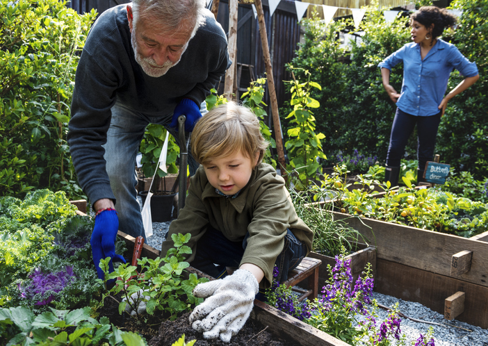 Adult male and small child gardening
